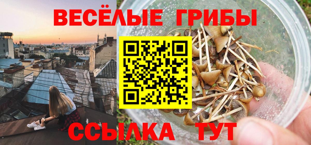 MDMA Кушва